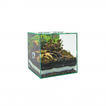 PLANTCUBE - Vivarium 20x20x20 Biom Bundle